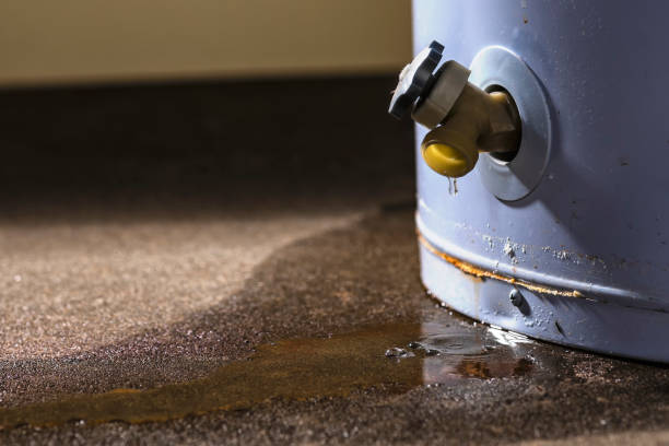 Best Flood restoration services  in Willow Creek, CA
