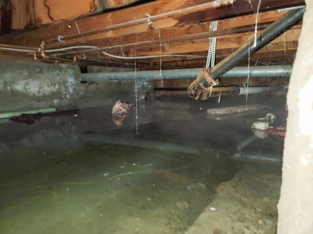 Best 24/7 water damage repair  in Willow Creek, CA