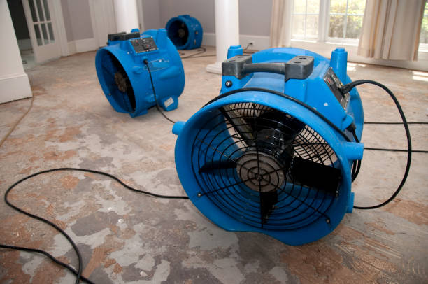 Best Ceiling water damage repair  in Willow Creek, CA