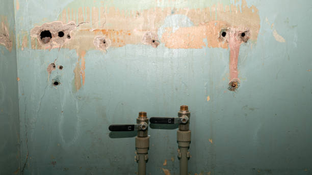 Water damage restoration mold remediation in Willow Creek, CA