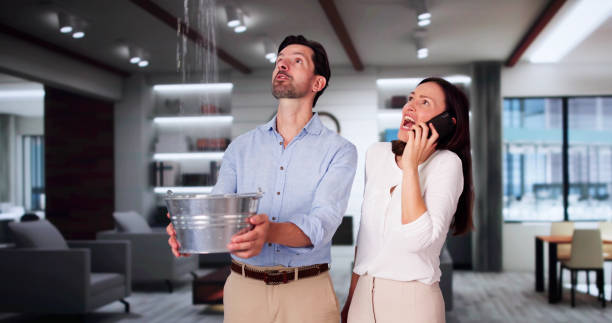 Best Professional water damage repair  in Willow Creek, CA